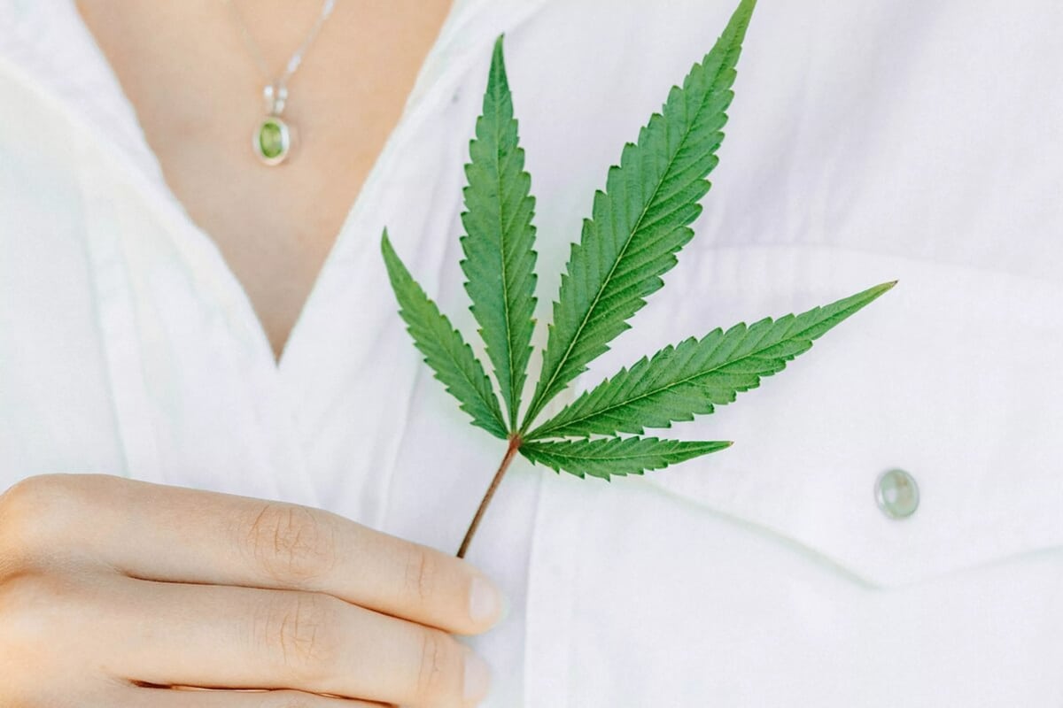 Therapie mit medizinischen Cannabis