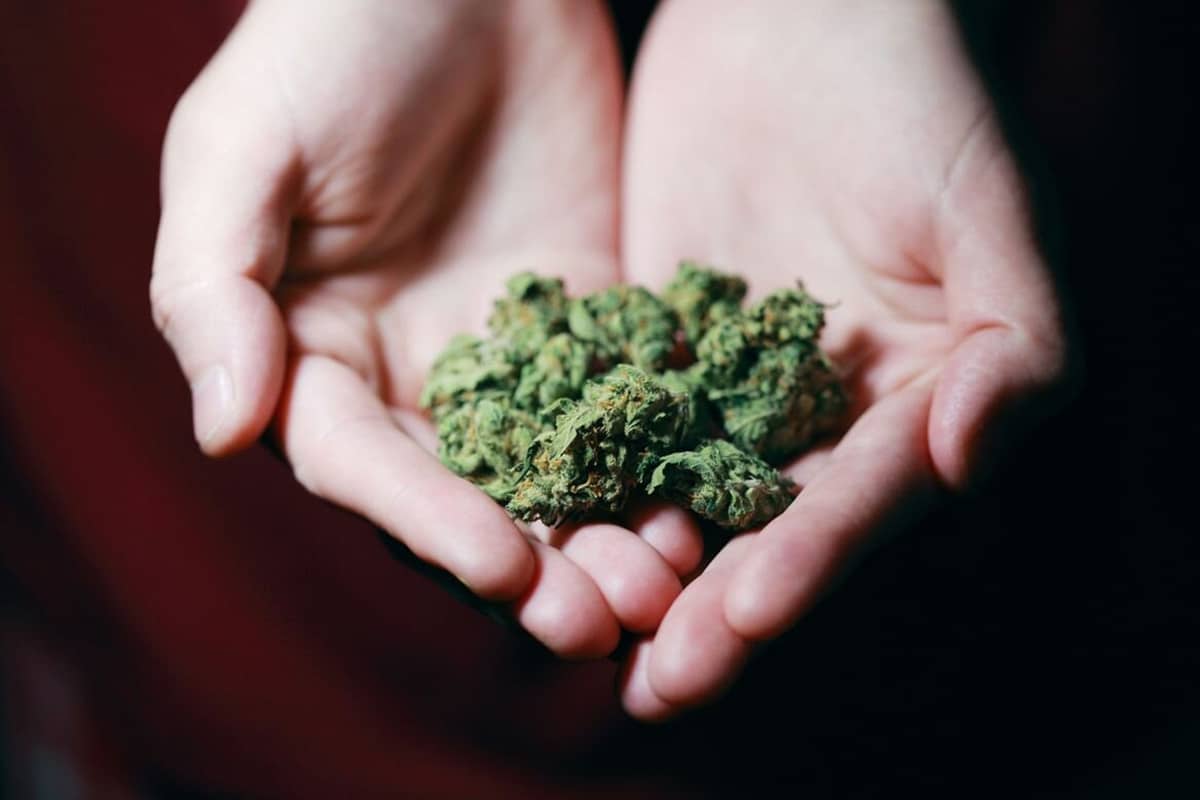 Wirksamkeit von medizinischem Cannabis
