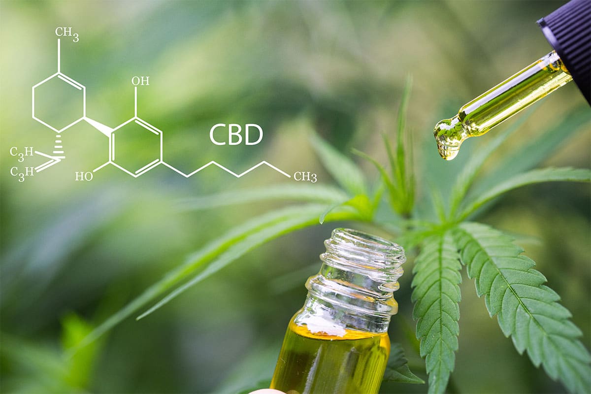 CBD dosierung