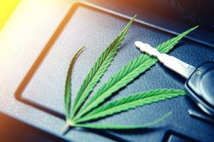 Cannabis Therapie Autofahren