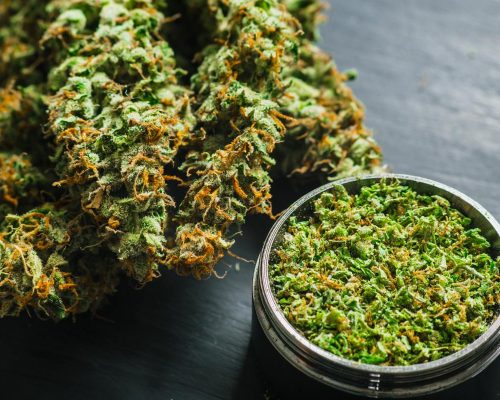 cannabis_algea_care_1200x800 Cannabis Algea Care